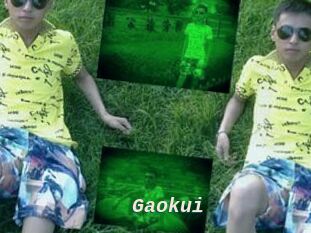 Gaokui