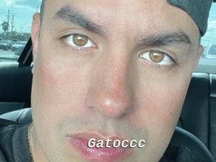 Gatoccc