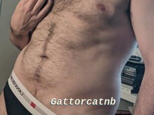 Gattorcatnb