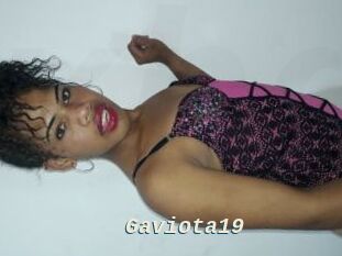 Gaviota19