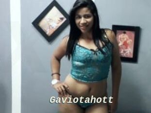 Gaviotahott