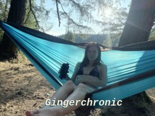 Gingerchronic
