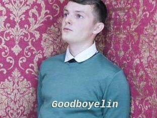 Goodboyelin