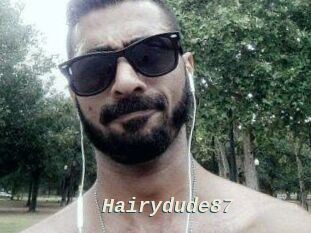 Hairydude87