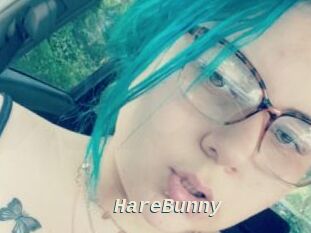 HareBunny