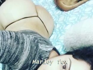 Harley_fox