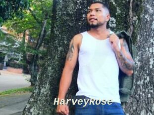 HarveyRose