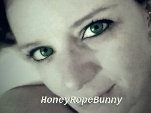 HoneyRopeBunny