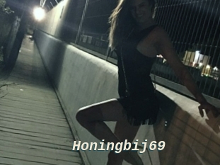 Honingbij69