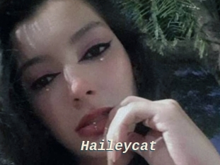 Haileycat