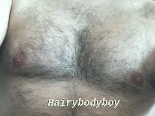 Hairybodyboy