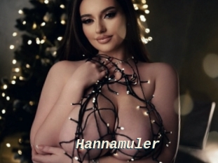 Hannamuler