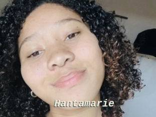 Hantamarie