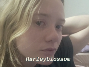 Harleyblossom