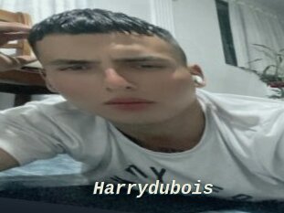 Harrydubois