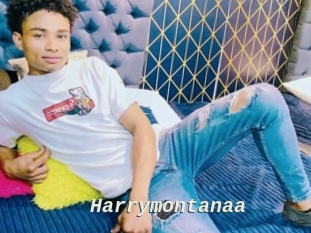 Harrymontanaa
