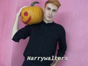 Harrywalters