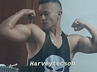 Harveytecson