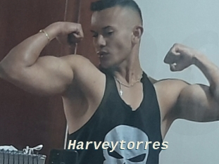 Harveytorres