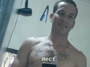 Hect