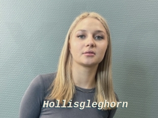 Hollisgleghorn
