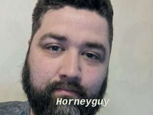Horneyguy