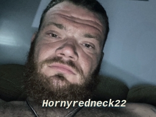Hornyredneck22