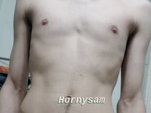 Hornysam