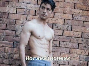 Horse9inchesz
