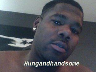 Hungandhandsome