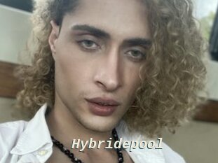 Hybridepool