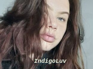 IndigoLuv