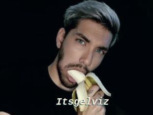 Itsgelviz