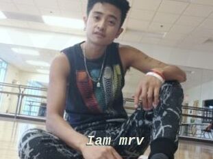 Iam_mrv