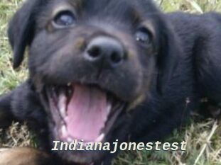 Indianajonestest