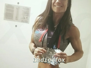 Indigofox