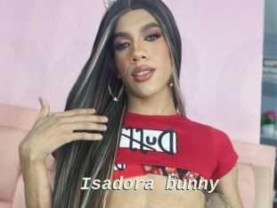 Isadora_bunny
