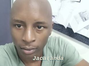 Jacaranda