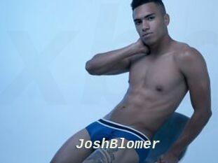 JoshBlomer