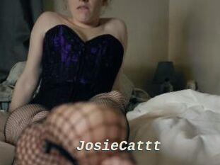 JosieCattt
