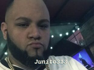 Junito313