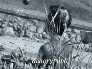 KanaryPunk