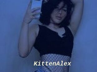 KittenAlex