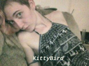 KittyBird