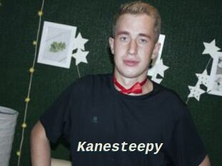 Kanesteepy
