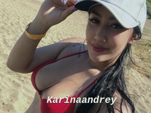 Karinaandrey
