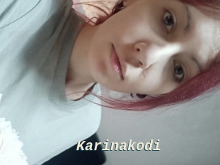 Karinakodi