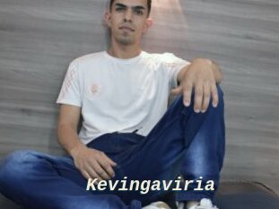 Kevingaviria