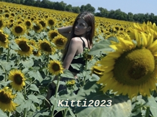 Kitti2023