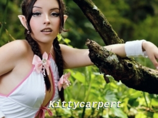 Kittycarpert